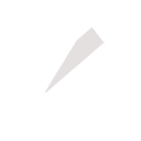 六盘水临时保镖服务